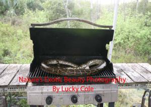 Lucky Cole Biker Outpost, Python Hunter Rest Area and Photo Studio on Loop Road in The Florida Everglades